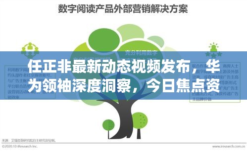 任正非最新动态视频发布，华为领袖深度洞察，今日焦点资讯