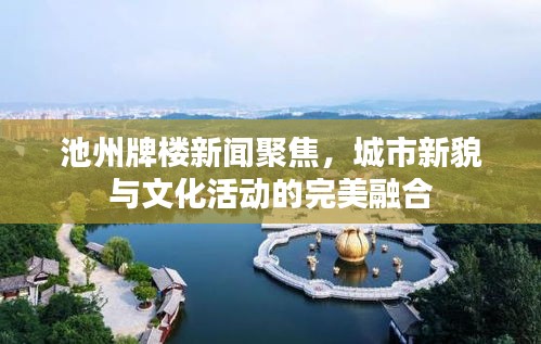 池州牌楼新闻聚焦，城市新貌与文化活动的完美融合