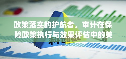 政策落实的护航者，审计在保障政策执行与效果评估中的关键作用