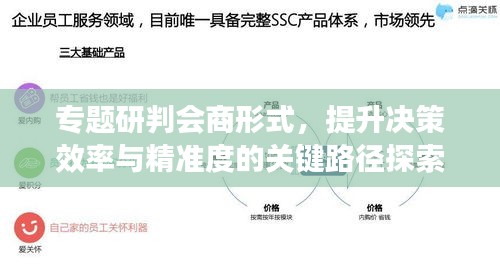 专题研判会商形式，提升决策效率与精准度的关键路径探索