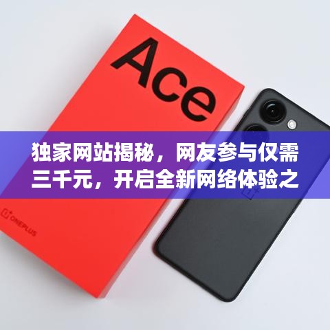 独家网站揭秘，网友参与仅需三千元，开启全新网络体验之旅