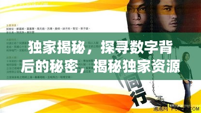 独家揭秘，探寻数字背后的秘密，揭秘独家资源故事！