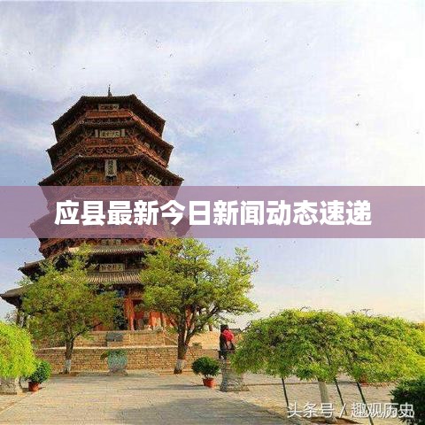 应县最新今日新闻动态速递