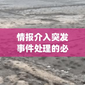 情报介入突发事件处理的必要性与策略深度解析