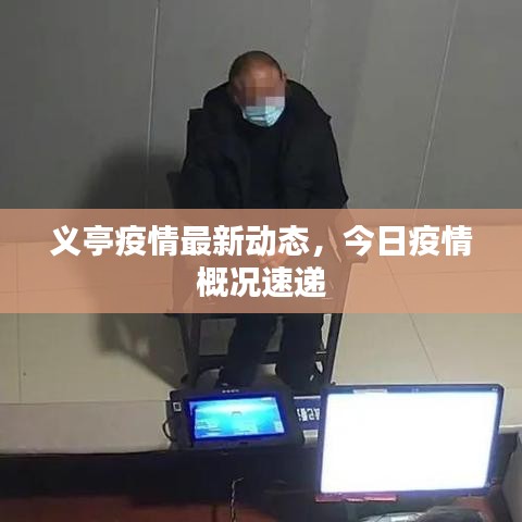 凤凰于飞