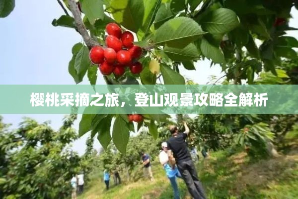 各就各位