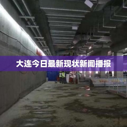 大连今日最新现状新闻播报