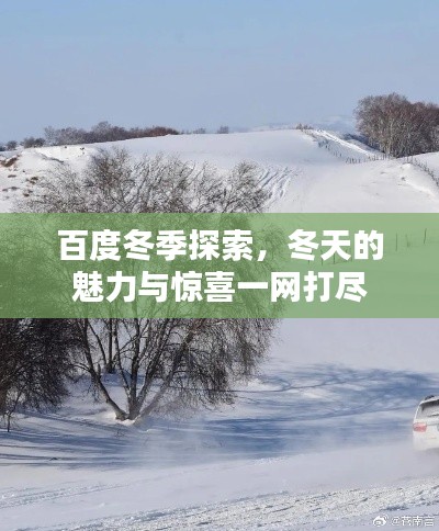 飞蛾扑火