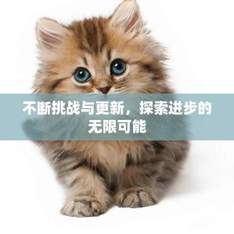 不断挑战与更新，探索进步的无限可能