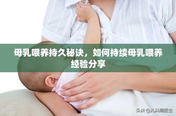 关于我们 第14页