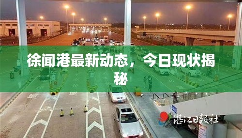 徐闻港最新动态，今日现状揭秘