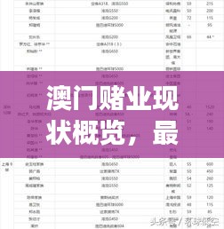 澳门赌业现状概览，最新发展动态与趋势分析