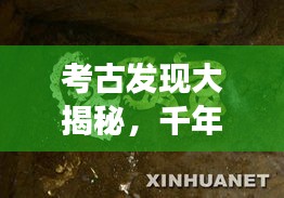 考古发现大揭秘，千年文明神秘面纱下的故事专题采访