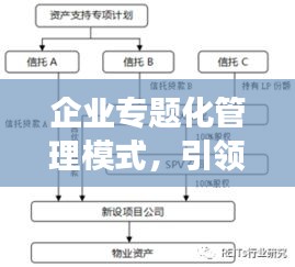 企业专题化管理模式，引领现代企业迈向成功的核心路径