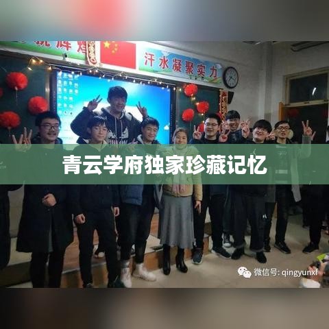 纲挈目张