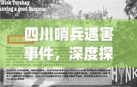 四川哨兵遇害事件，深度探究事件真相与背后故事