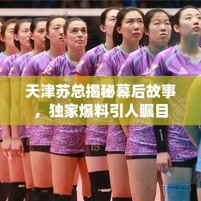 天津苏总揭秘幕后故事，独家爆料引人瞩目