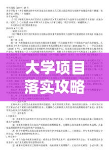 大学项目落实攻略，从策划到执行一步到位！