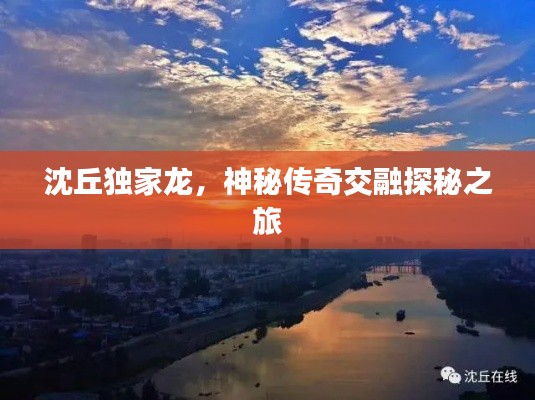 客户服务 第8页