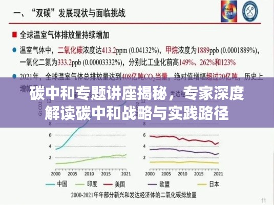 文化专栏 第7页