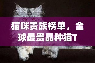 眼空四海