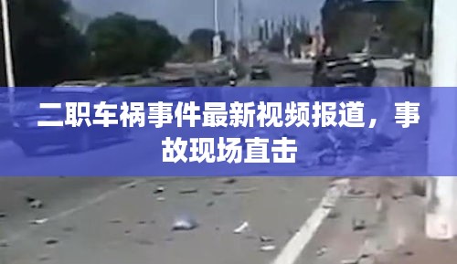 二职车祸事件最新视频报道，事故现场直击