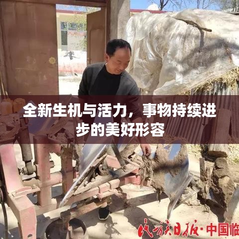 文化专栏 第6页