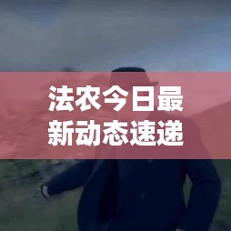法农今日最新动态速递