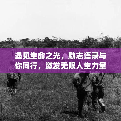 遇见生命之光，励志语录与你同行，激发无限人生力量