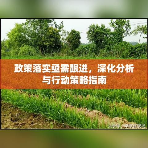 政策落实亟需跟进，深化分析与行动策略指南