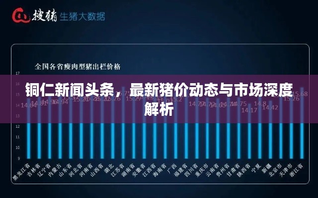 2025年5月8日