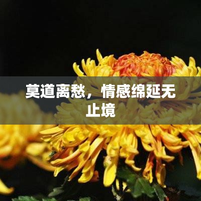 莫道离愁，情感绵延无止境
