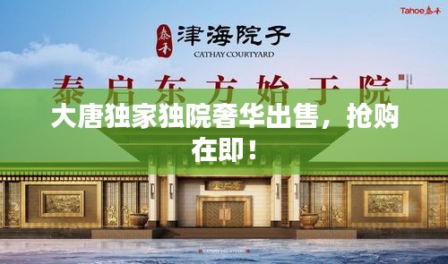 大唐独家独院奢华出售，抢购在即！