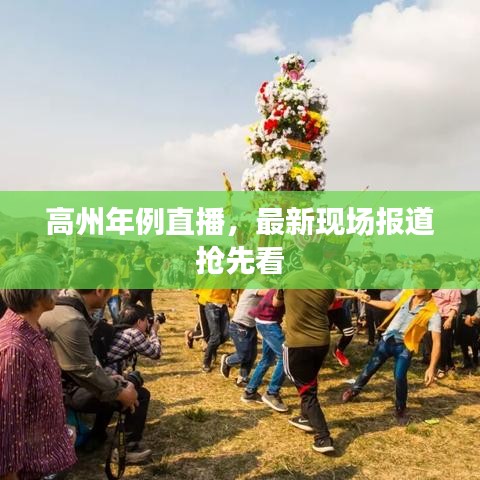 高州年例直播，最新现场报道抢先看