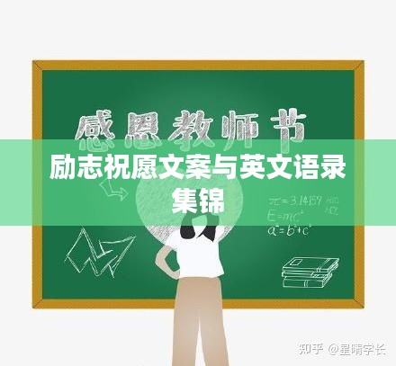 客户服务 第12页