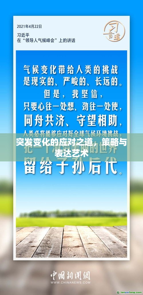 突发变化的应对之道，策略与表达艺术