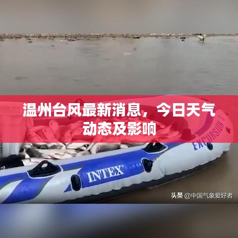 温州台风最新消息，今日天气动态及影响