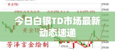 今日白银TD市场最新动态速递