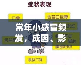 常年小感冒频发，成因、影响及应对良方