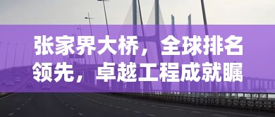 张家界大桥，全球排名领先，卓越工程成就瞩目
