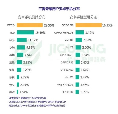 为什么你应该选择王者荣耀华为玩的版本，深度调查解析说明_粉丝版_v4.725？