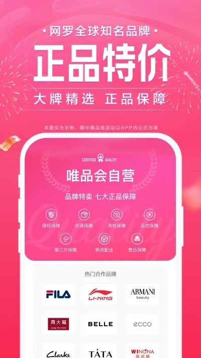 唯品会客户端官方下载,可靠数据解释定义_Prime_v6.644