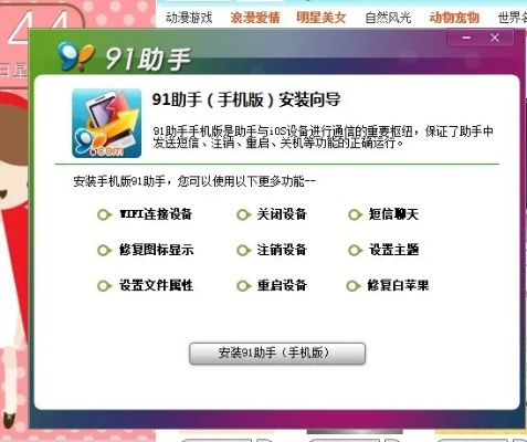 为什么你应该选择苹果91助手官方下载,实地数据验证执行_进阶款_v5.509?