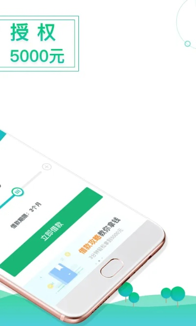 分期族官方下载,全面解析数据执行|N版_v2.890