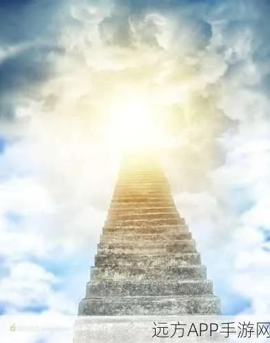 天堂之路官方下载,快速解答方案解析 10DM1_v8.438