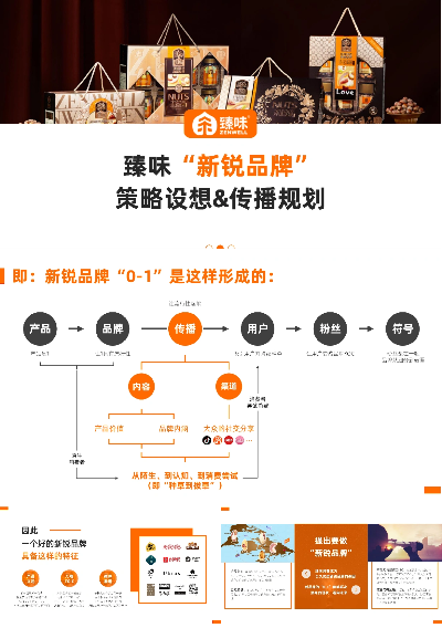 三款最佳坚果版本，创新推广策略软件的横向评测