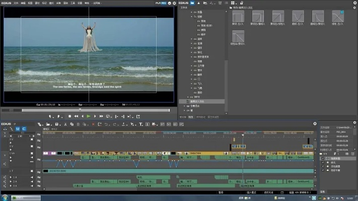 edius 官方下载,定性解答解释定义_PalmOS1_v8.511