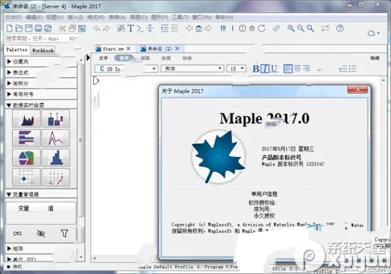 maple16激活码和下载官方电量显示,时代资料解释定义 C版_v5.989
