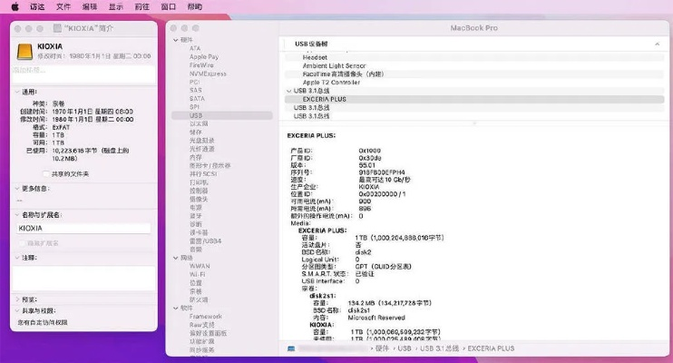 专业级工具推荐，雷电二单机版与云打印官方下载，实地验证数据策略Prime_v1.942