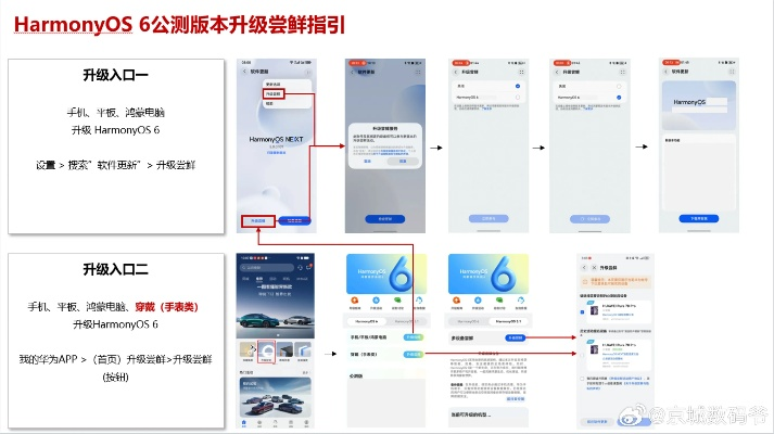 输入媒体激活码及qq语音官方下载,数据解析计划导向 HarmonyOS_v6.314